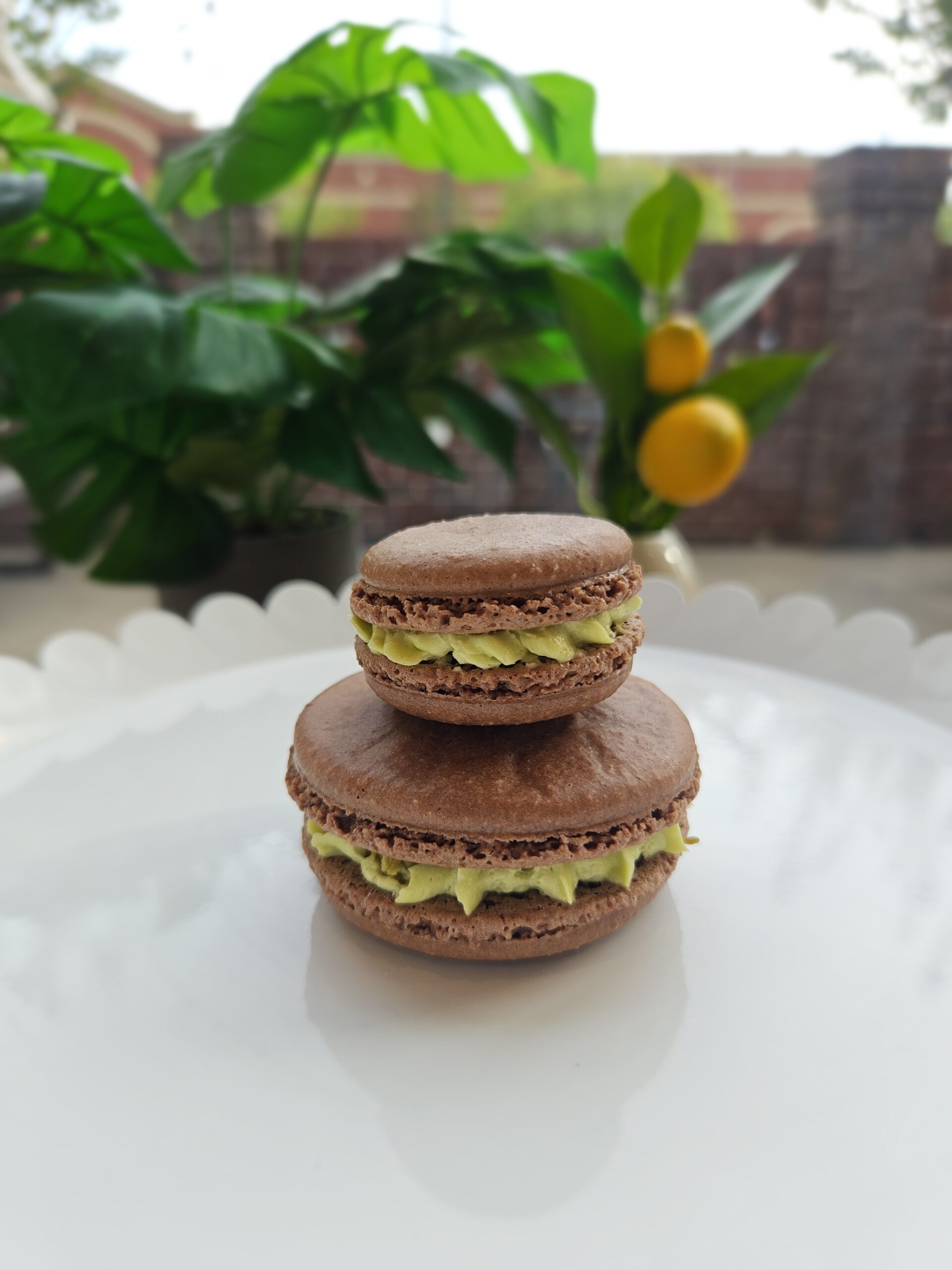 Dubai Chocolate Macaron