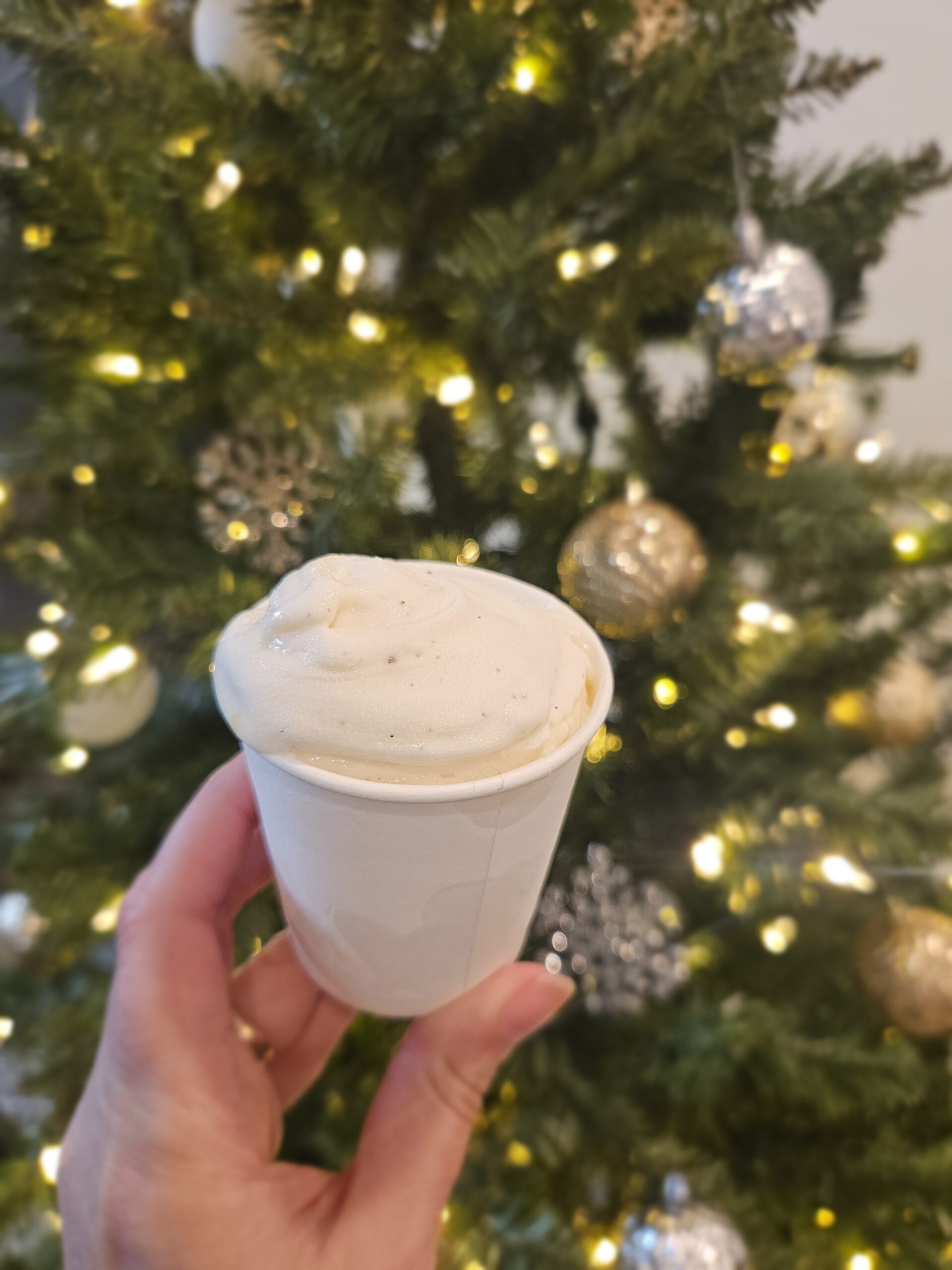 Madagascar Vanilla Gelato