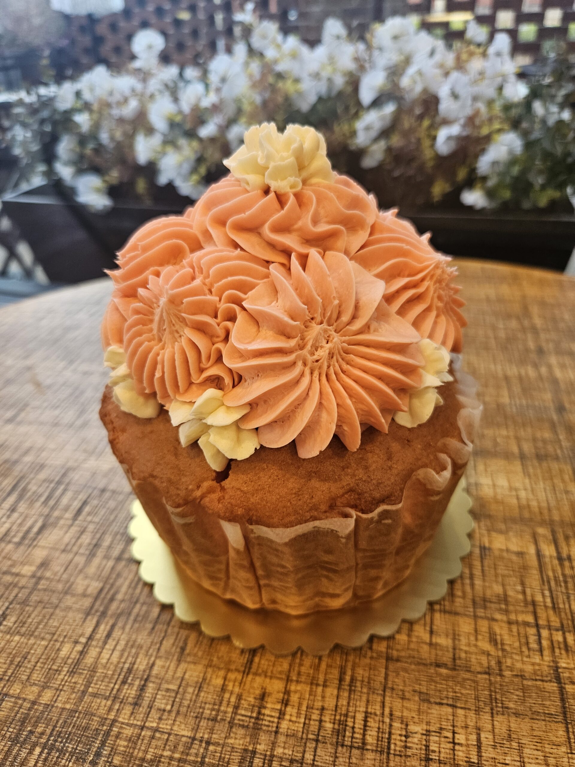 Colossal Pink Champagne & Strawberries