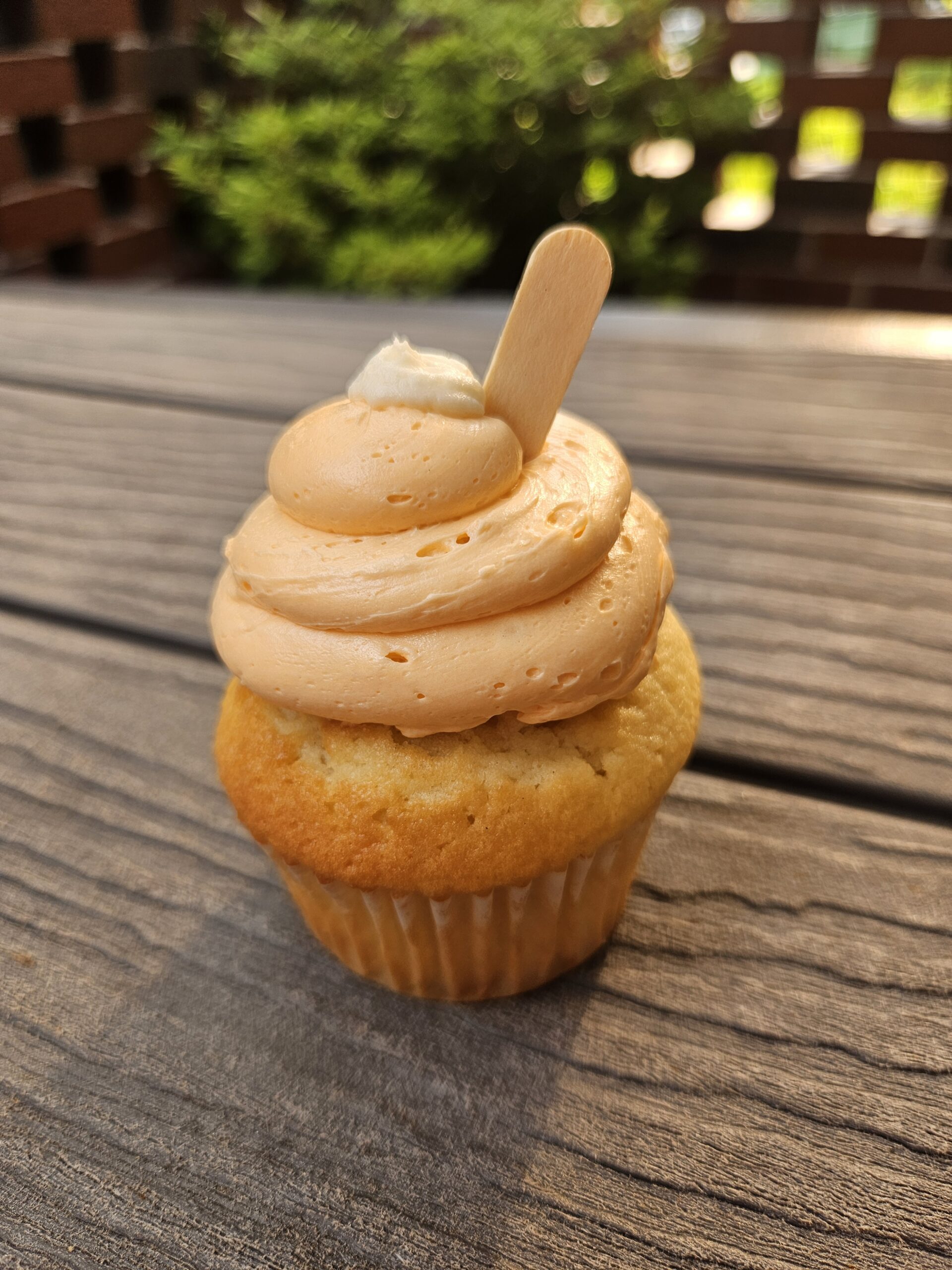 Orange Creamsicle
