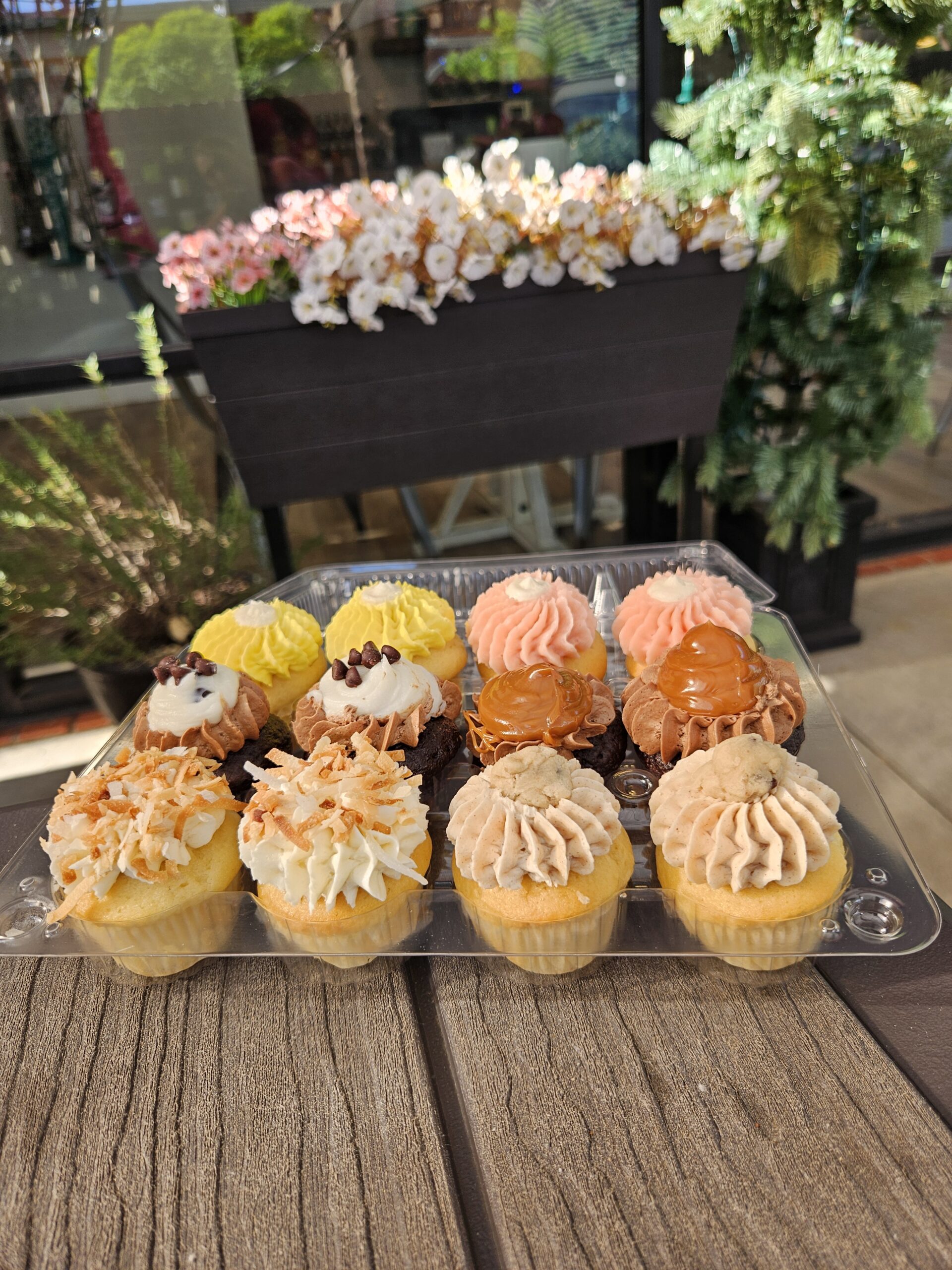 Premium Mini Cupcake Sampler