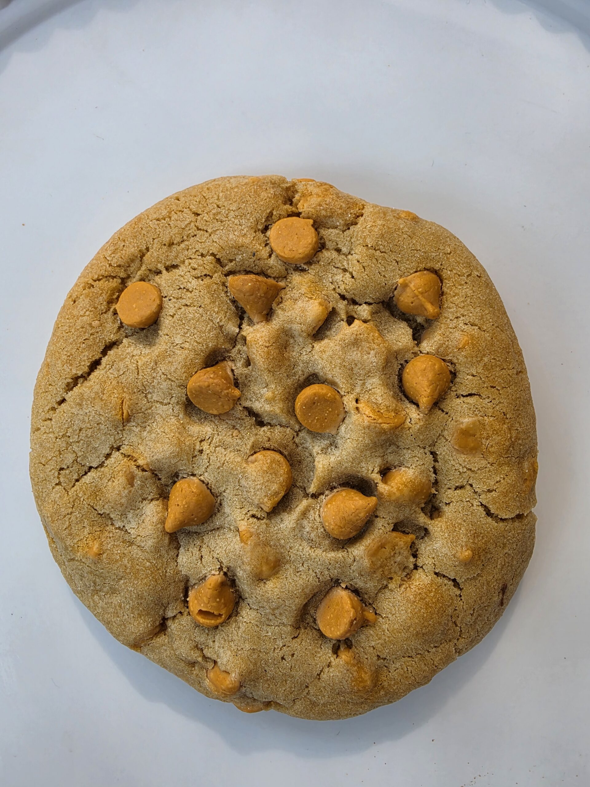 Butterscotch Chip